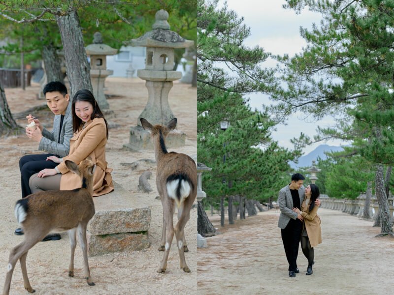 Love Stories Photoshoot in Tokyo With Professional Photographer